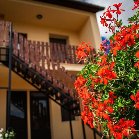 Hotel Monika Vendeghaz Mórahalom Zewnętrze zdjęcie