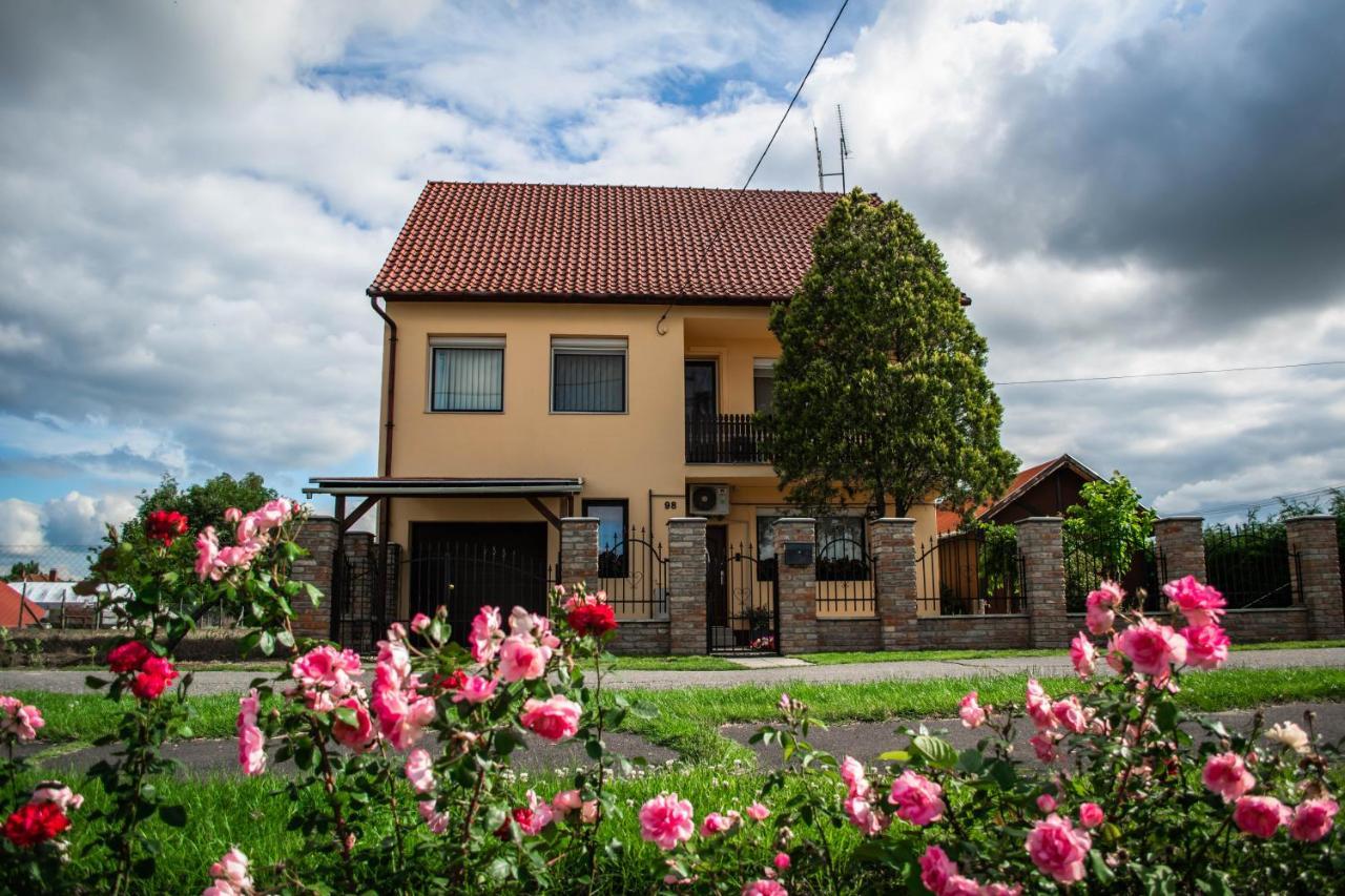 Hotel Monika Vendeghaz Mórahalom Zewnętrze zdjęcie